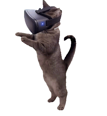Humping Cat